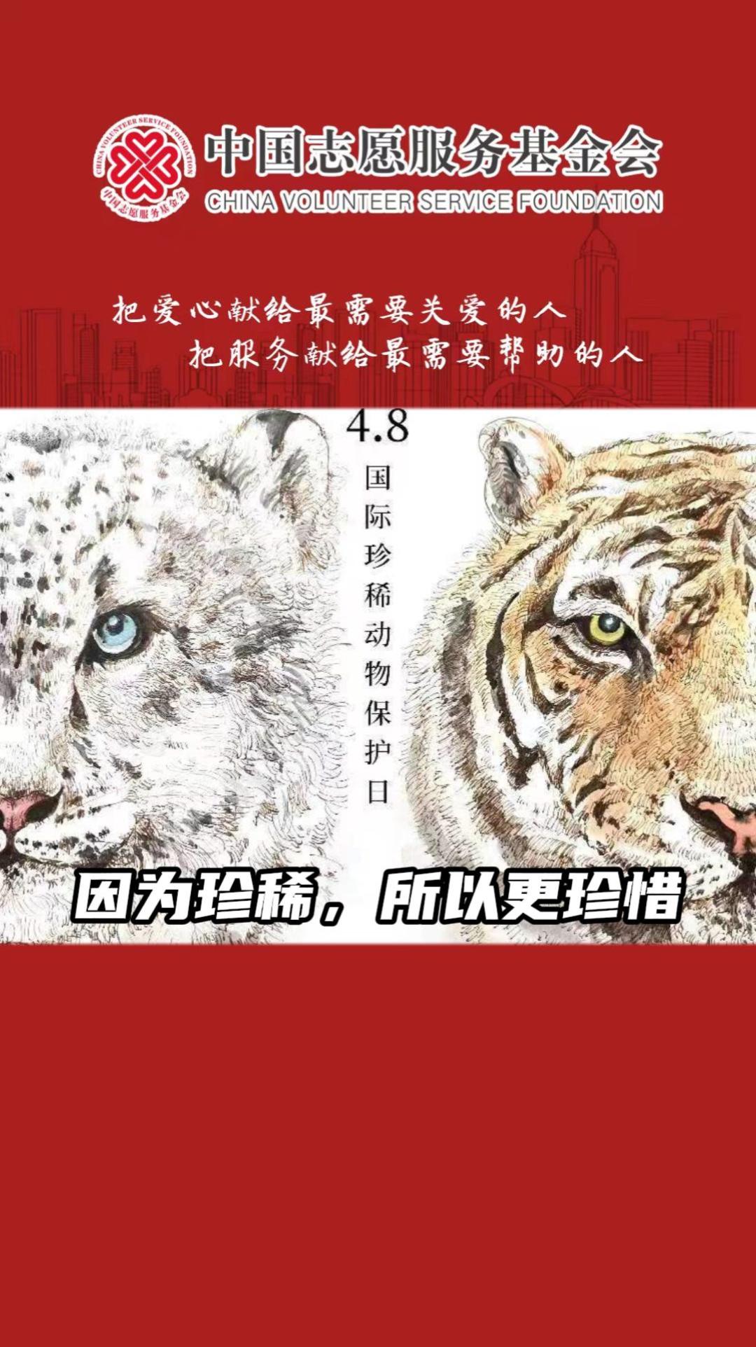 新疆雪豹调查与保护