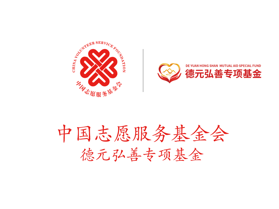 中国志愿服务基金会德元弘善专项基金