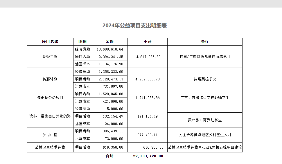 2024年公益项目支出明细表